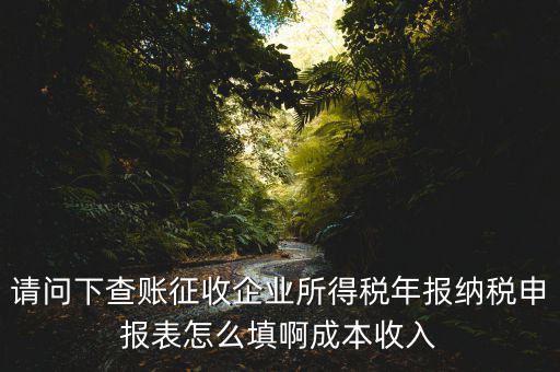 企業(yè)所得稅申報(bào)查賬是什么表，剛注冊(cè)了一個(gè)小規(guī)模的公司企業(yè)所得稅是查帳征收企業(yè)所得稅報(bào)表