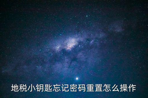 地稅密碼重置需要什么，地稅網(wǎng)上納稅申報密碼忘記了