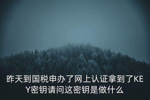 稅務認證密碼是什么，昨天到國稅申辦了網(wǎng)上認證拿到了KEY密鑰請問這密鑰是做什么