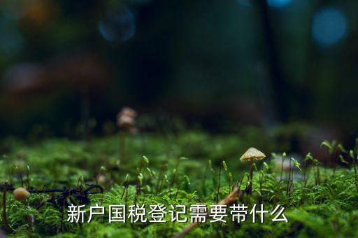 稅務(wù)新開戶需要帶什么東西，新戶國(guó)稅登記需要帶什么
