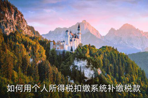 個(gè)人所得稅用什么系統(tǒng)，個(gè)人所得稅代扣代繳系統(tǒng) 支持Windows7 嗎