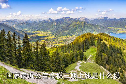 國(guó)家最近公告金稅三期上線(xiàn)是什么稅