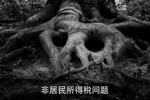 有什么是非居民企業(yè)，個(gè)私企業(yè)的范圍除了個(gè)體戶還包括哪些性質(zhì)的企業(yè)