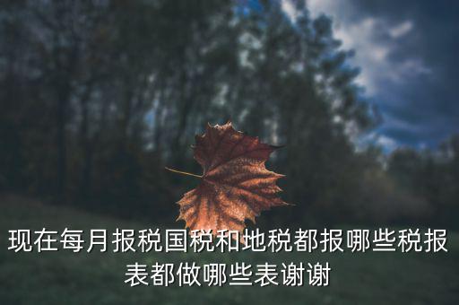 現在每月報稅國稅和地稅都報哪些稅報表都做哪些表謝謝