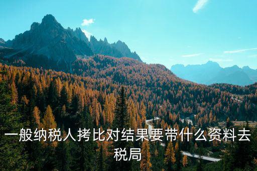 去稅務(wù)拷初始化文件帶什么東西，一般納稅人拷比對結(jié)果要帶什么資料去稅局