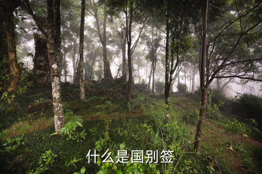 什么是國(guó)別報(bào)送條件，國(guó)別是什么意思