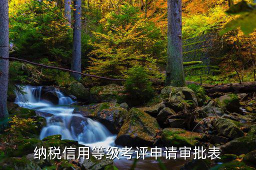 稅務(wù)信用等級復(fù)評需要什么手續(xù)，公司想要重新進行信用評級應(yīng)該怎么做帶哪些材料呢