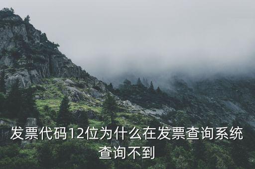 發(fā)票代碼12位為什么在發(fā)票查詢(xún)系統(tǒng)查詢(xún)不到
