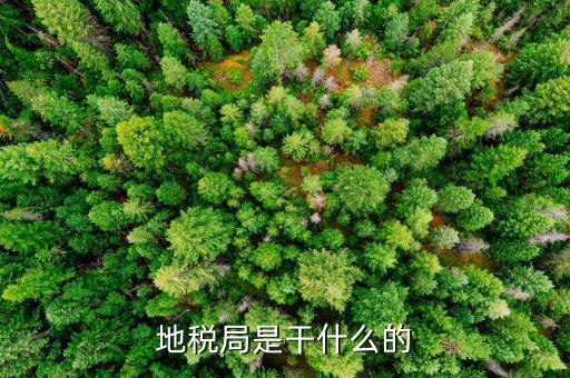 地稅主要負責什么工作總結(jié)，地稅局一般做什么工作啊