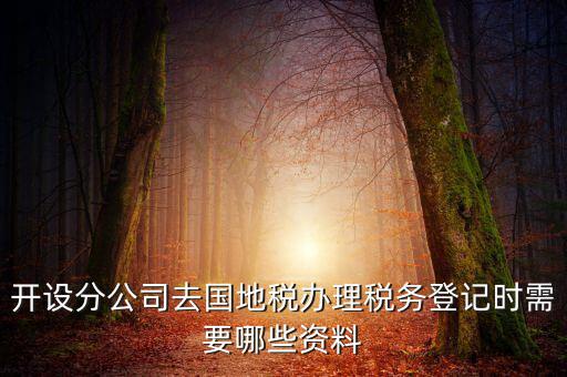 分公司地稅辦理需要什么材料，辦理分公司的稅務登記證需要準備哪些資料