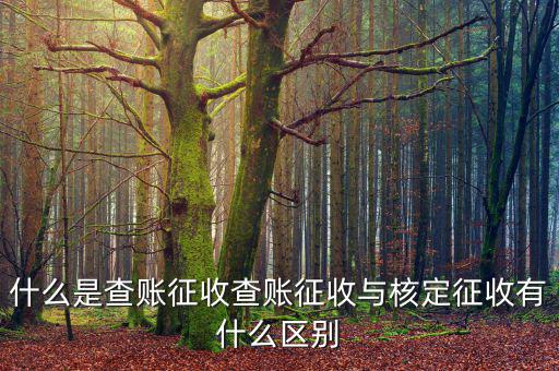 什么是查賬征收和核定征收，查賬征收與核定征收的區(qū)別是什么