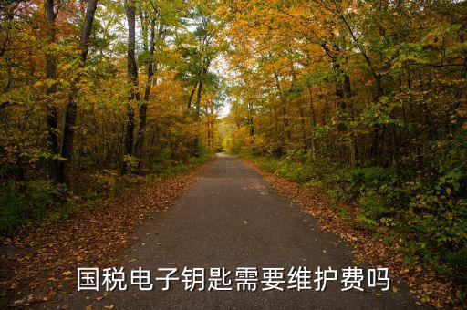 辦稅鑰匙是什么意思，網(wǎng)上報(bào)稅請插入電子令牌是什么意思