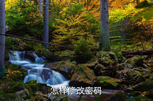怎樣改國稅密碼是什么，山東省國家稅務(wù)局網(wǎng)上辦稅平臺(tái)納稅人的密碼怎么改