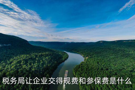 稅務(wù)局收什么保險，稅務(wù)局讓企業(yè)交得規(guī)費(fèi)和參保費(fèi)是什么