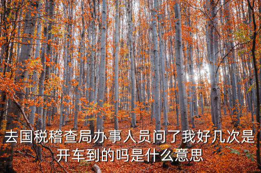 國稅說需要運(yùn)維是什么意思，什么條件需要辦理國稅我是一個(gè)月收入2千左右的維修小檔口也要輸