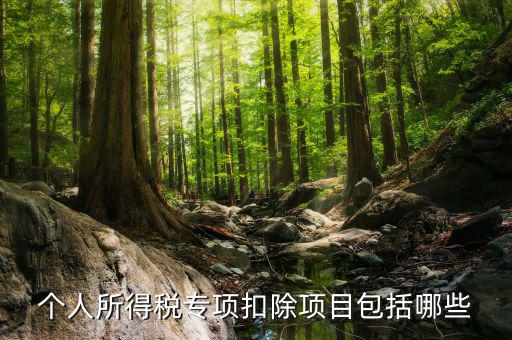 個(gè)人所得稅專(zhuān)項(xiàng)扣除項(xiàng)目包括哪些