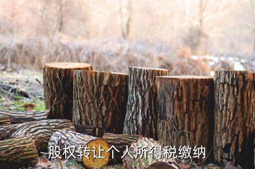 股權(quán)轉(zhuǎn)讓如何繳納個(gè)稅，個(gè)人股權(quán)轉(zhuǎn)讓如何納稅