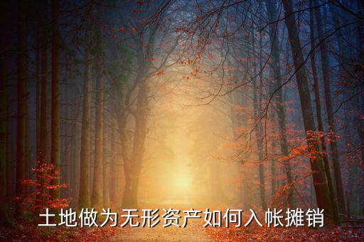 土地如何攤銷，土地做為無形資產(chǎn)如何入帳攤銷