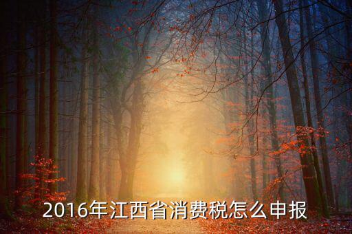 江西什么時(shí)候國(guó)地聯(lián)合辦稅，請(qǐng)問(wèn)國(guó)地稅什么時(shí)候合并