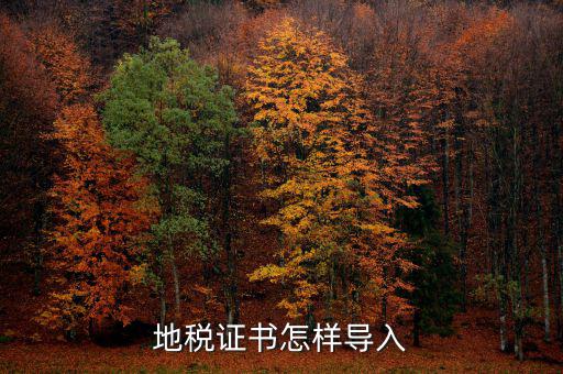 如何安裝深圳地稅證書，地稅證書怎樣導(dǎo)入