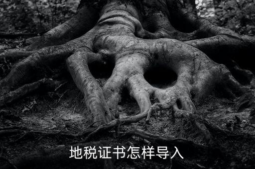 如何導(dǎo)入地稅證書(shū)，地稅證書(shū)怎樣導(dǎo)入