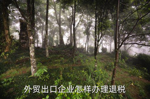 外貿(mào)公司如何退稅，外貿(mào)公司出口產(chǎn)品時怎么操作才可以退稅