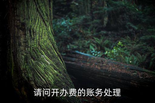 開辦費如何處理，請問開辦費的賬務處理