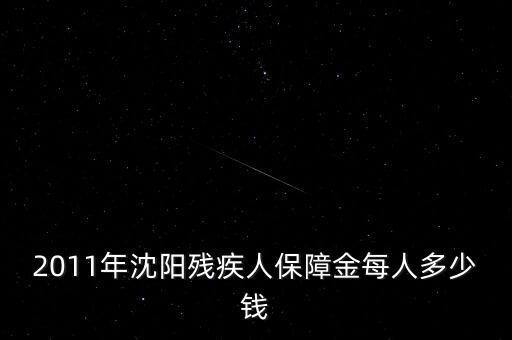 沈陽市殘疾人保障金如何計算，2011年沈陽殘疾人保障金每人多少錢