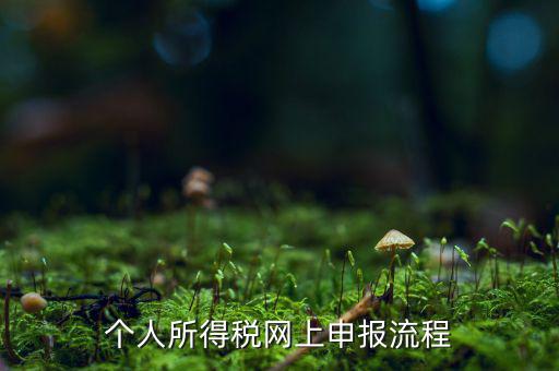 如何網(wǎng)上申請(qǐng)個(gè)稅，個(gè)人所得稅網(wǎng)上申報(bào)流程