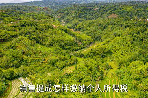 支付個(gè)人的銷售回扣如何征收個(gè)稅，付別人回扣5791462元 如何扣取個(gè)人所得稅請(qǐng)老師詳解在此感