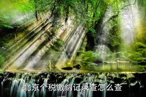 北京如何查詢(xún)個(gè)人繳稅記錄，北京個(gè)稅繳納記錄查怎么查
