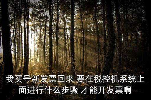 稅控系統(tǒng)如何開票，我買號新發(fā)票回來 要在稅控機(jī)系統(tǒng)上面進(jìn)行什么步驟 才能開發(fā)票啊