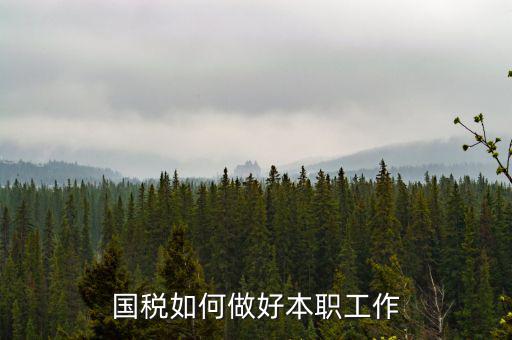 如何做好基層國(guó)稅工作，如何做好新形勢(shì)下的國(guó)稅工作