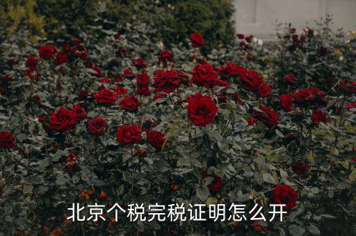 北京如何打印個(gè)人所得稅完稅證明，北京個(gè)稅完稅證明怎么開(kāi)