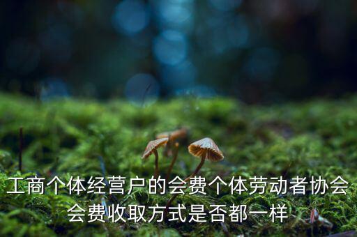 工商個(gè)體經(jīng)營(yíng)戶(hù)的會(huì)費(fèi)個(gè)體勞動(dòng)者協(xié)會(huì)會(huì)費(fèi)收取方式是否都一樣