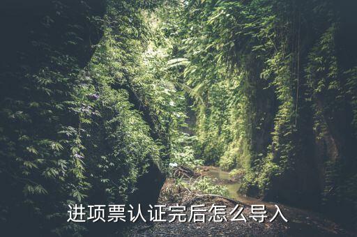 抵扣票如何認(rèn)證系統(tǒng)下載，增值稅發(fā)票怎樣自己認(rèn)證需要下載什么軟件什么步驟呢