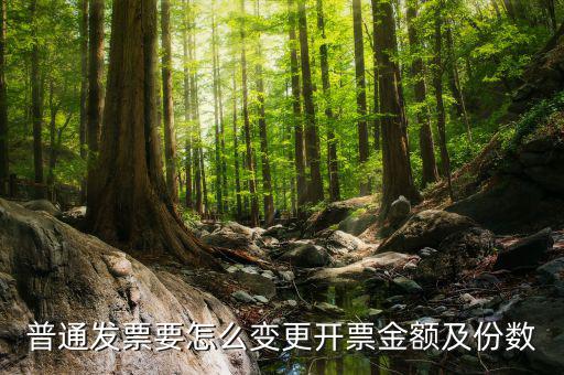 如何申請發(fā)票額度變更，普通發(fā)票要怎么變更開票金額及份數(shù)