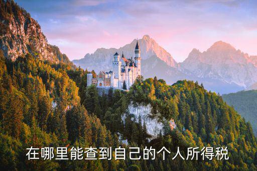 如何查看自己交稅，怎么查自己交了多少稅