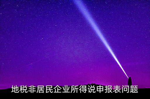 扣繳非居民所得稅報告表指什么，扣繳個人所得稅報告表30