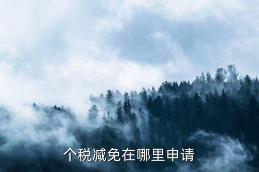 如何申請個稅減免，個稅減免在哪里申請