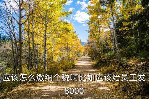 企業(yè)員工的個(gè)人所得稅如何繳納，應(yīng)該怎么繳納個(gè)稅啊比如應(yīng)該給員工發(fā)8000