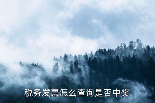 如何查地稅發(fā)票中獎，稅務發(fā)票怎么查詢是否中獎