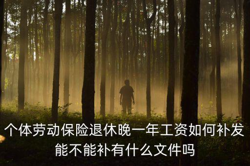 如何補發(fā)工資，個體勞動保險退休晚一年工資如何補發(fā)能不能補有什么文件嗎