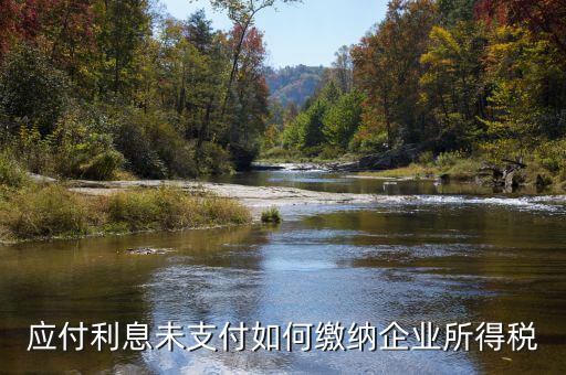 應(yīng)付未付的專利權(quán)如何計算企業(yè)所得稅，企業(yè)所得稅的計算方法