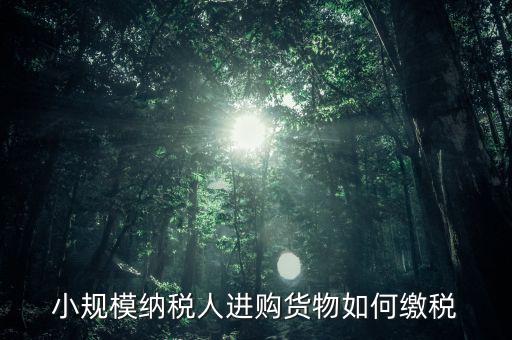 小規(guī)模納稅人如何交稅，小規(guī)模納稅人進(jìn)購(gòu)貨物如何繳稅