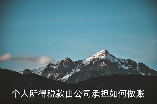 個(gè)稅公司承擔(dān) 如何報(bào)銷，個(gè)人所得稅款由公司承擔(dān)如何做賬