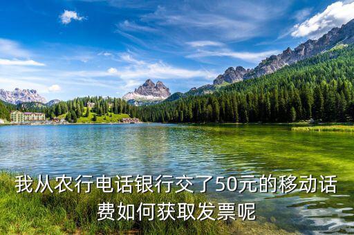 湖北移動(dòng)電子發(fā)票如何獲取，中國(guó)移動(dòng)手機(jī)帳單電子發(fā)票怎么樣下載