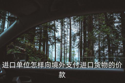 企業(yè)如何境外付款嗎，進(jìn)口單位怎樣向境外支付進(jìn)口貨物的價(jià)款