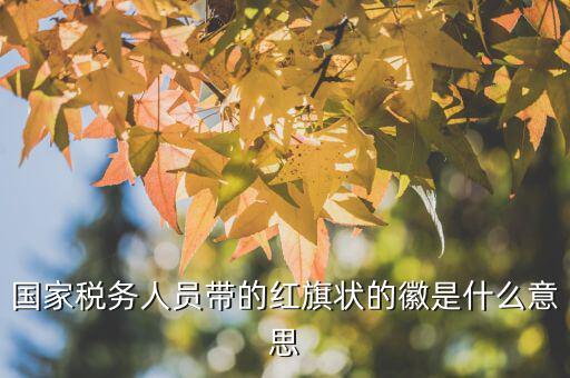 如何佩戴稅務(wù)肩章，地稅局人員的肩章