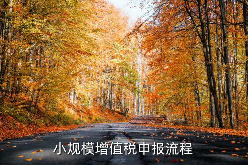 小規(guī)模納稅人 如何申報(bào)，小規(guī)模增值稅申報(bào)流程